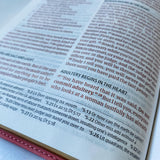 CSB Bible, Pink, Hand Lettered and Engraved, Custom Name Engraving - She is Clothed With Dignity